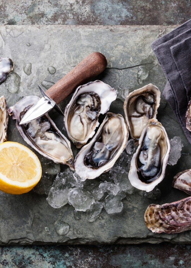 Geöffnete Austern, Messer, Zitrone und Eiswürfel auf einer Steinplatte