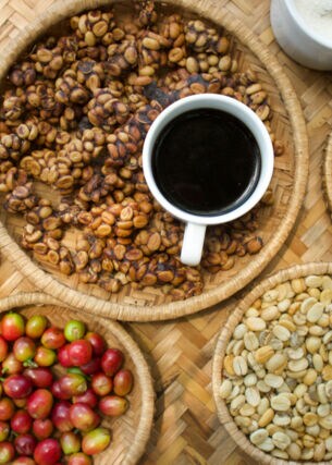 Kaffeebohnen in verschiedenen Röstzuständen, Kaffeekirschen
