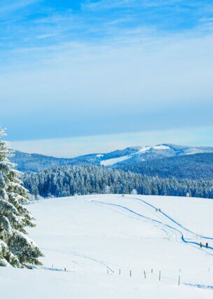 Eine bergige Schneelandschaft mit Skifahrer:innen im Hintergrund.