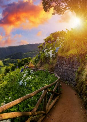 Panoramaweg mit blühender Vegetation mit Blick auf die felsige Küste der Azoreninsel São Miguel