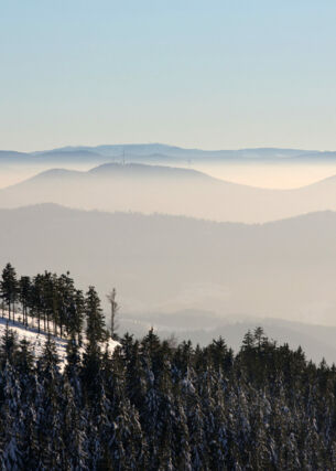 Blick über die Berglandschaft des Schwarzwaldes mit Nebelfelder im Hintergrund