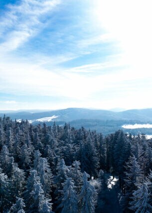 Blick über schneebedeckte Wälder und Berge