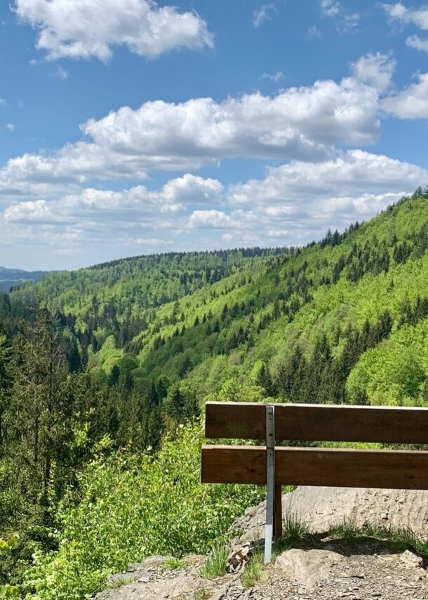Eine Bank an einem Aussichtspunkt mit Blick auf Berge und Wald