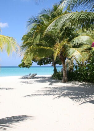 Ein weißer Strand mit Palmen und türkisfarbenen Meer im Hintergrund