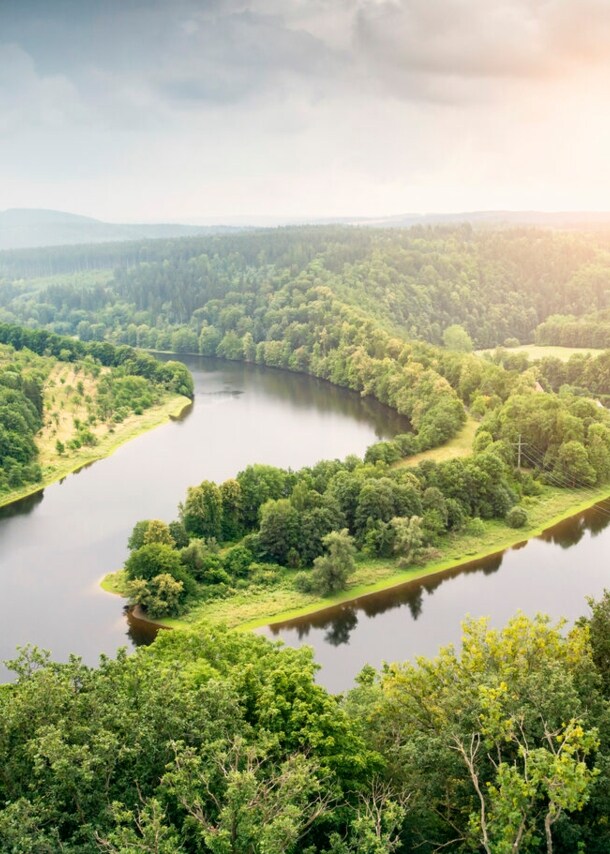 Ein Fluss aus der Vogelperspektive, der sich durch eine Waldlandschaft schlängelt