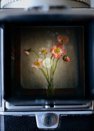 Eine Vase mit Blumen im Sucher einer alten Kamera