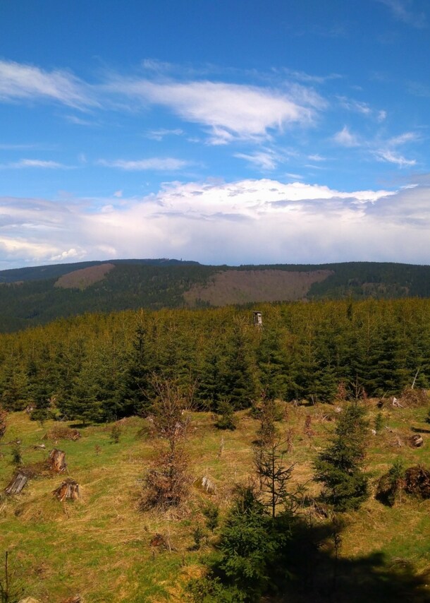 Blick über den Thüringer Wald
