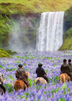 Touristen reiten im Sommer an einem Wasserfall in Island
