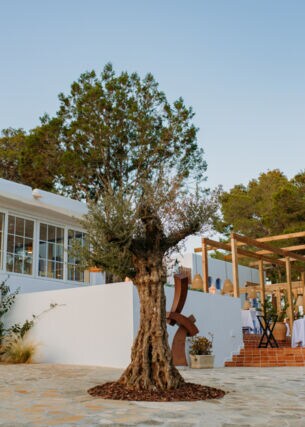 Ein Restaurant mit Außenterrasse im mediterranen Ambiente