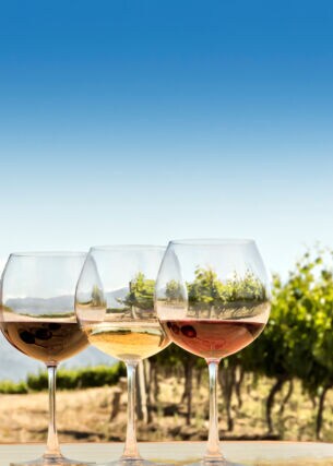 Drei gefüllte Weingläser stehen vor einem Feld mit Weinreben