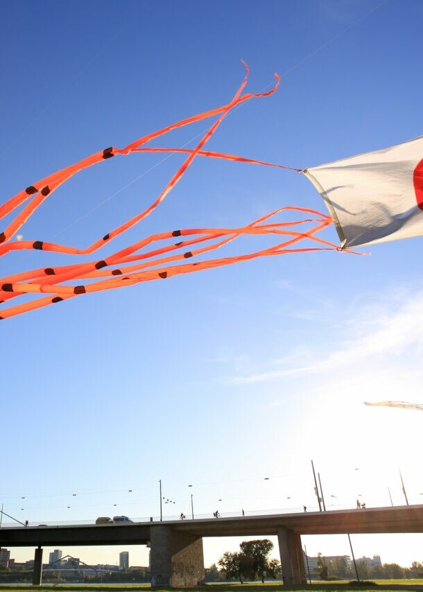 Ein Drache in Oktopusform und eine Japanflagge flattern über dem Rhein in der Luft