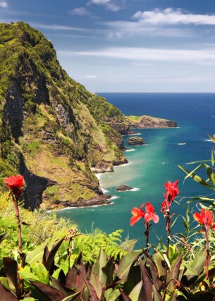 Panoramablick über die Klippen, das Meer und die Flora der Azoreninsel Flores