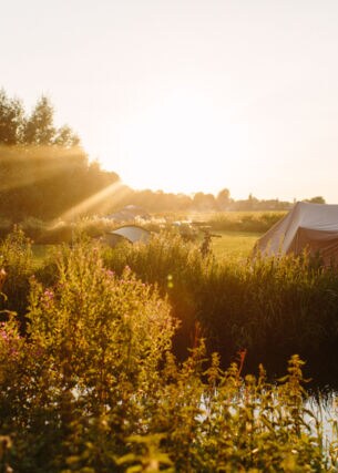 Zwei Zelte stehen mitten auf einer Wiese, daneben fließt ein Bach. Die Sonne ist dabei unterzugehen