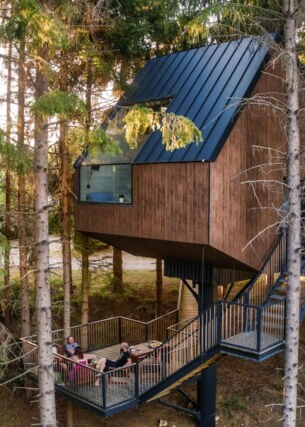 Ein Holzhaus, das zwischen den Baumkronen sitzt