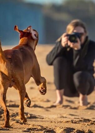 Ein Hund rennt auf eine junge Frau mit Kamera zu