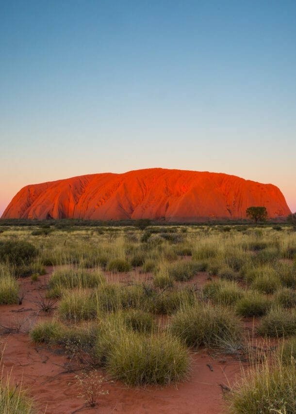 Der gigantische, rote Berg Uluru in einer Steppenlandschaft