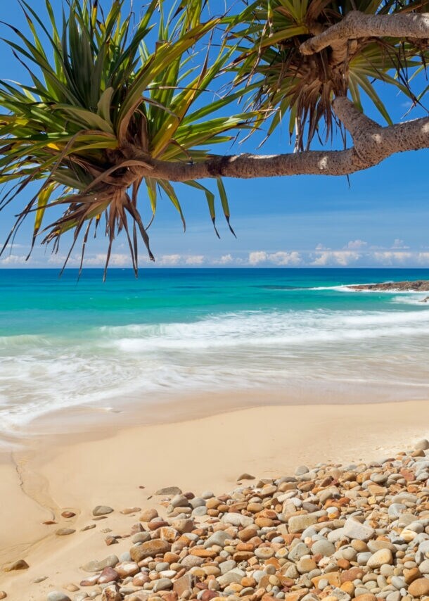 Ein Strand mit Palmen und sanfter Meeresbrandung