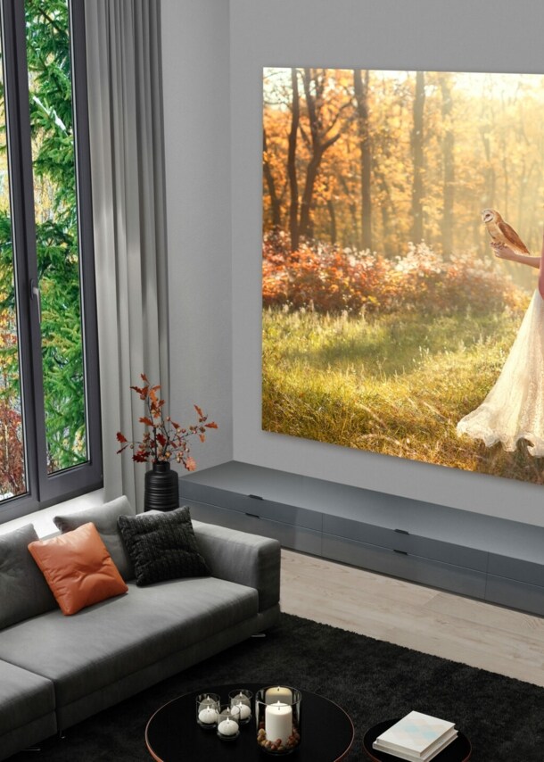 amex-magazin-groesster-fernseher-lg-home-conema-display-1