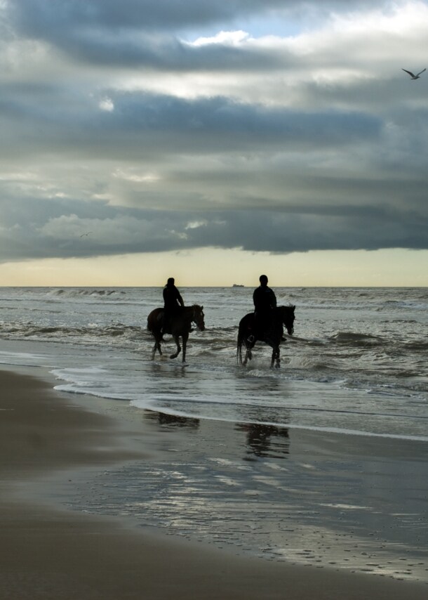 Zwei Menschen reiten in der Dämmerung auf dem Nordseestrand.