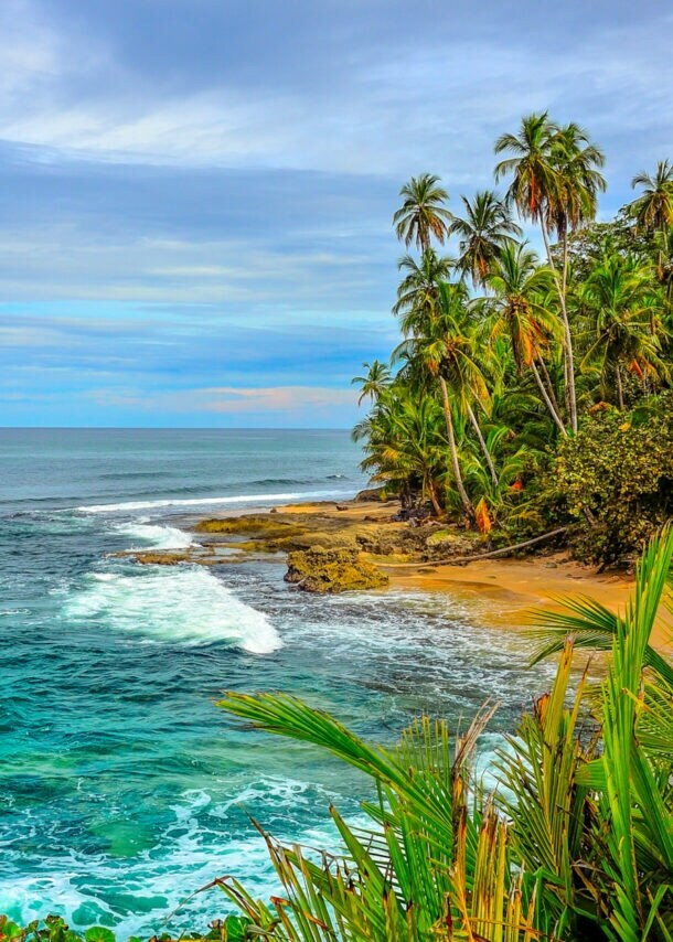 Karibischer Strand mit Palmen