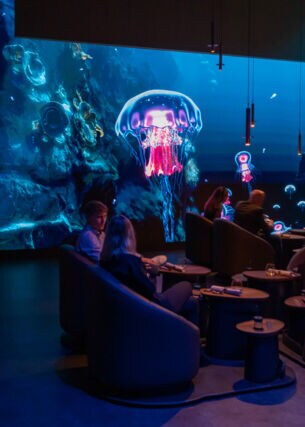 Menschen auf Sesseln in einem dunklen Raum, im Hintergrund Darstellung einer Unterwasserwelt mit leuchtenden Quallen