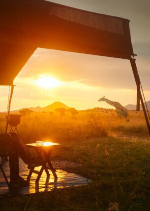 Eine Frau sitzt entspannt in einem Luxuszelt in der afrikanischen Savanne im Serengeti-Nationalpark und beobachtet eine Giraffe im Sonnenuntergang