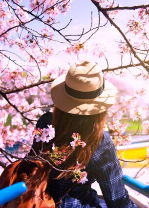 Eine Person mit Hut, die unter einem blühenden Kirschbaum steht.