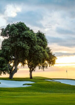 Ein Golfplatz mit Bäumen bei Sonnenuntergang