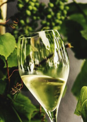 Nahaufnahme eines Weißweinglases vor grünen Weinreben