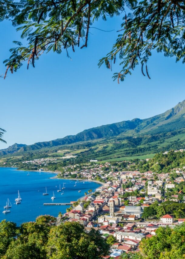 Blick über die Bucht von Saint-Pierre