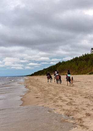 Vier Menschen auf Pferden reiten einen Strand entlang