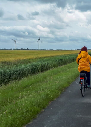 Junges Paar hält Hände beim Radfahren auf dem Elberadweg