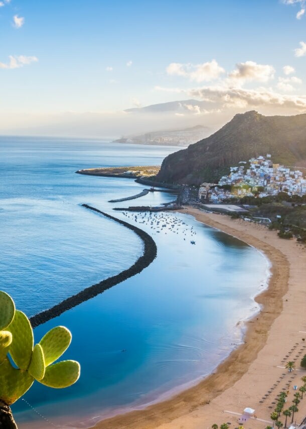 Aufsicht einer Bucht mit Sandstrand und Ortschaft, im Vordergrund Kakteen auf einem Felsvorsprung