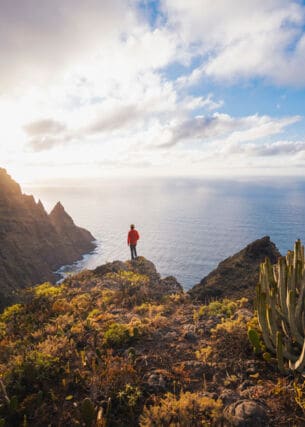 Eine Person steht auf einer bewachsenen Felsklippe in einer subtropischen Landschaft mit Kakteen am Meer