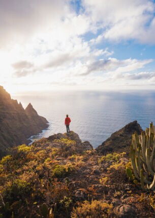 Eine Person steht auf einer bewachsenen Felsklippe in einer subtropischen Landschaft mit Kakteen am Meer