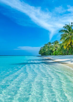 Palmengesäumter Strand auf den Malediven.