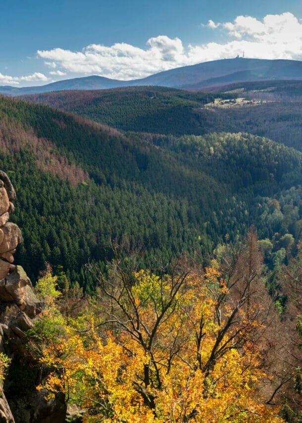 Blick über Waldlandschaft mit Gipfeln im Hintergrund im Herbst, ein Felsen im Vordergrund.