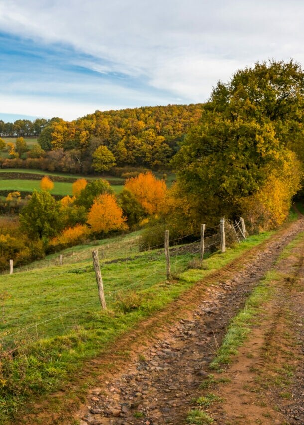 Ein Feldweg durch eine hügelige Wiesen- und Waldlandschaft im Herbst.