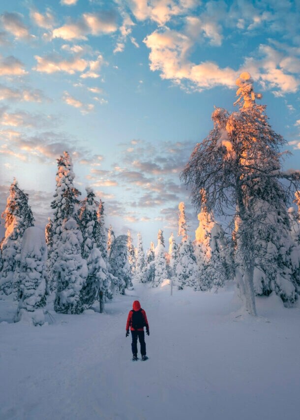 Eine Person von hinten in einem verschneiten Wald.