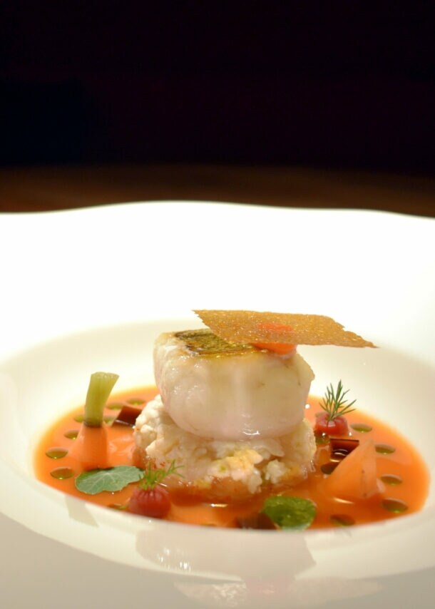 Ein Fischgericht, edel angerichtet auf einem großen weißen Teller.