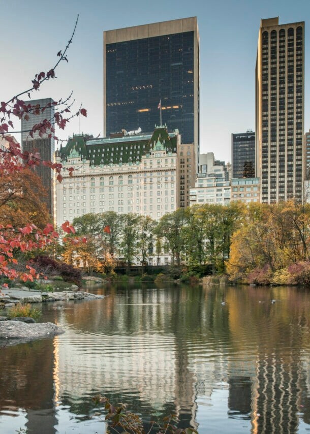Blick von der Gaptow-Brücke des Central Parks im Herbst auf das Plaza Hotel, Bäume mit buntem Laub im Vordergrund.