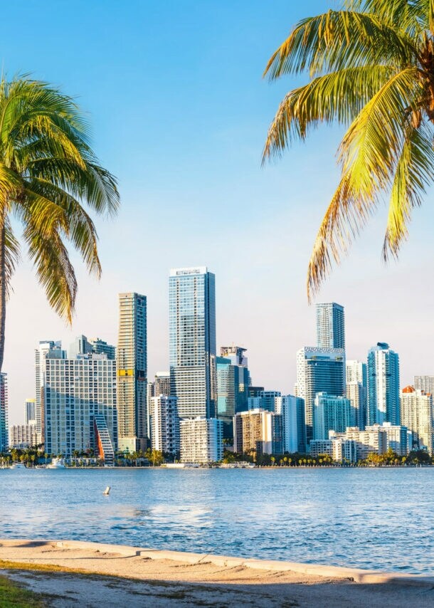 Blick auf die Skyline von Miami mit Wasser und Palmen am Strand im Vordergrund