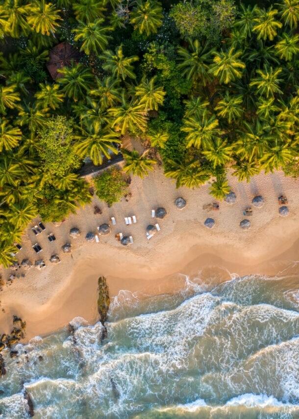 andstrand mit Sonnenliegen an Kokospalmenwald aus der Vogelperspektive.