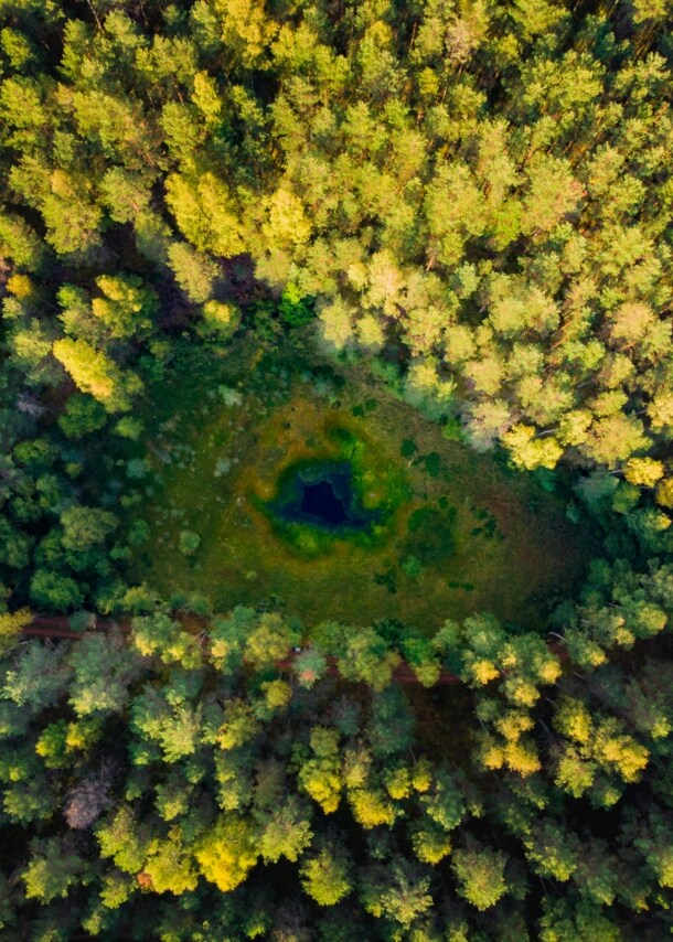 Drohnenaufnahme einer Waldlandschaft von oben in dessen Mitte ein kleiner See ist.