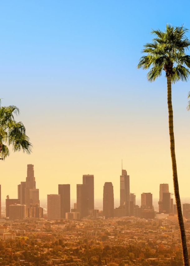 Skyline von Downtown Los Angeles im gelben Licht unter blauem Himmel, im Vordergrund fünf Palmen.
