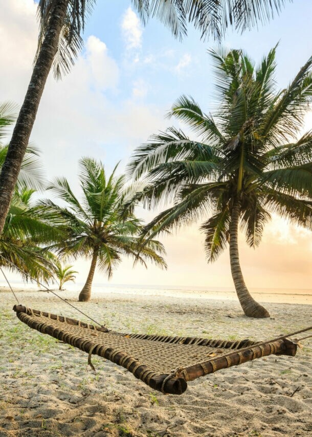 Hängematte aus Seilen zwischen Palmen an einem Sandstrand bei Sonnenaufgang