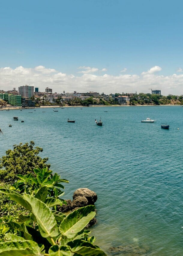 Küstenlinie mit grüner Vegetation und mehreren Booten auf ruhigem blauem Wasser unter bewölktem Himmel