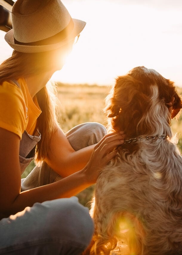 Frau mit Hut und Hund sitzen im geöffneten Kofferraum eines Autos und schauen auf ein sonniges Feld.