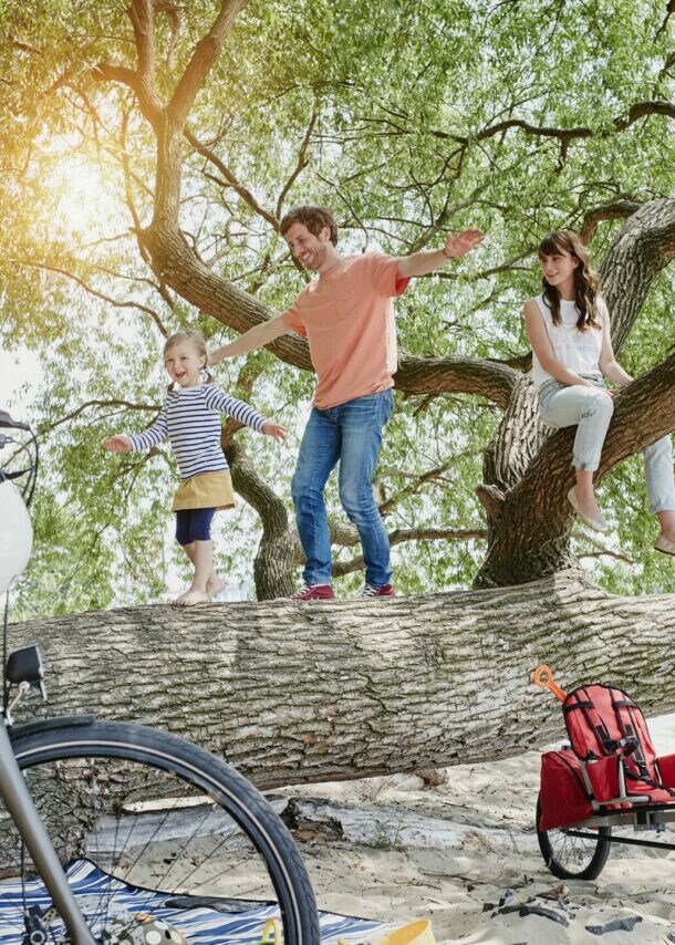 Ein Kind balanciert mit seinen Eltern auf einem umgestürzten Baumstamm im Wald, zwei E-Bikes mit Helmen stehen im Vordergrund.