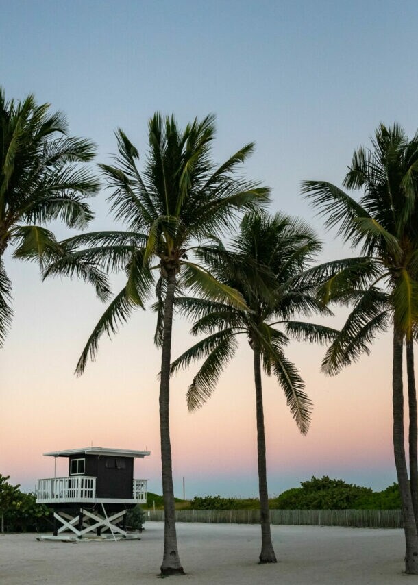 Ausschnitt des Miami South Beach bei Sonnenuntergang, mit Palmen und Lifeguard-Häuschen.